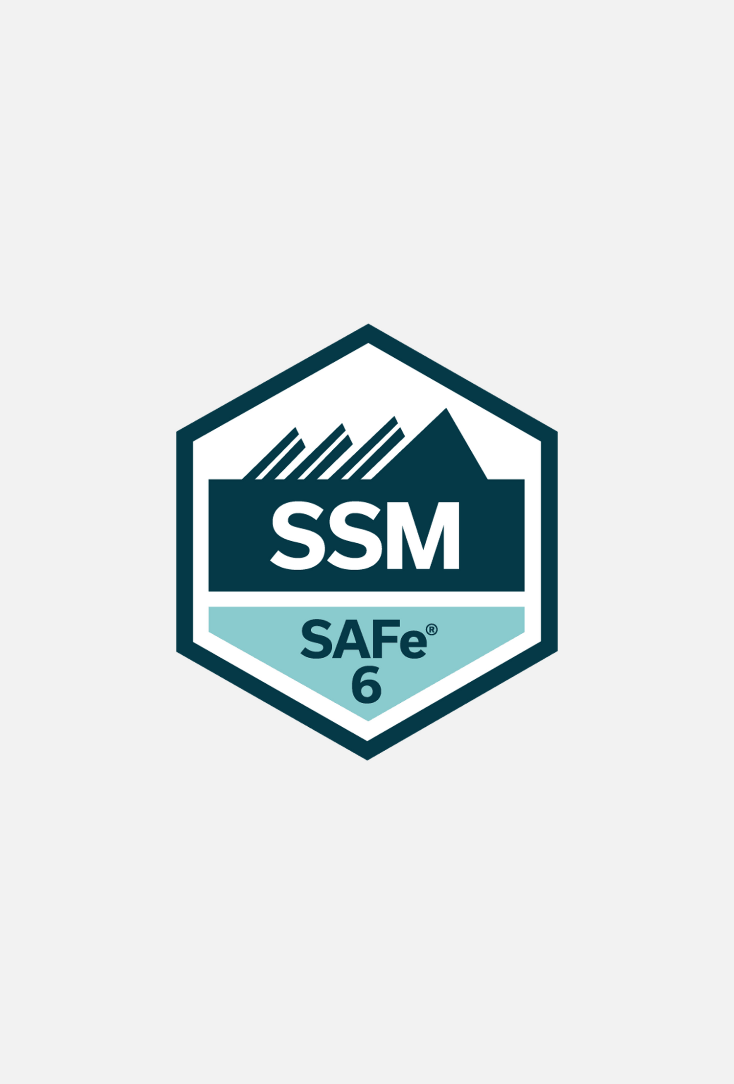 SAFe Scrum Master (SSM)